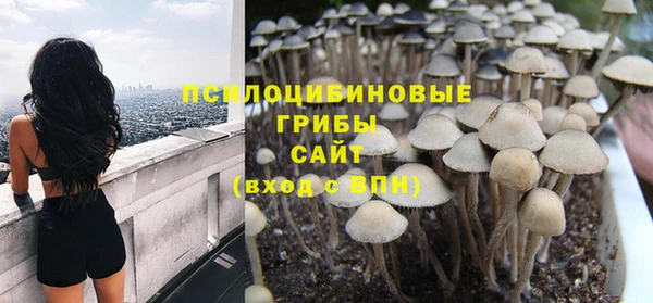 стаф Верхний Тагил